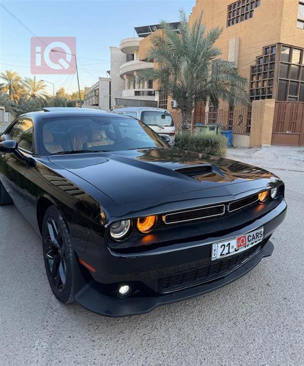 دودج تشالنجر 2023 للبيع في العراق -  بغداد